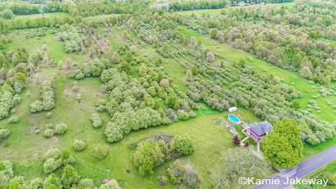 10594 Button, Belding, MI 48809 photo 47