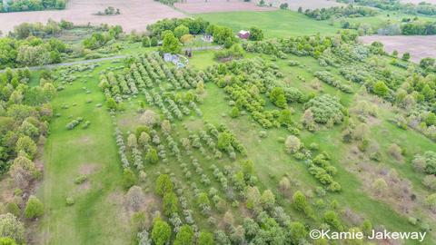 10594 Button, Belding, MI 48809 photo 54
