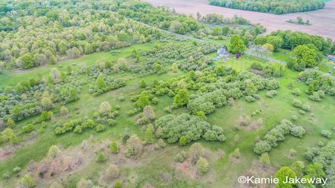 10594 Button, Belding, MI 48809 photo 55