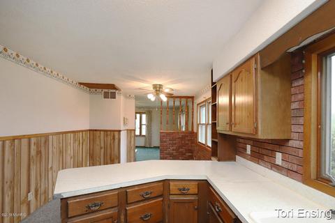 4017 E Pakes Rd, Stanton, MI 48888 photo 10