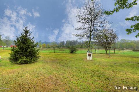 4017 E Pakes Rd, Stanton, MI 48888 photo 24