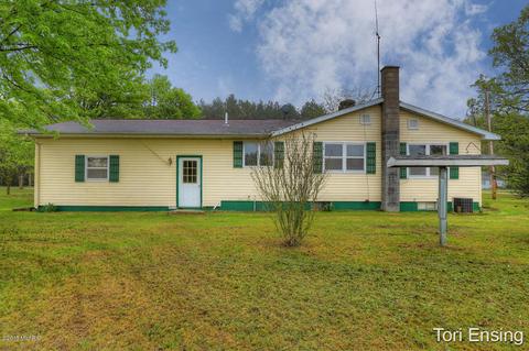 4017 E Pakes Rd, Stanton, MI 48888 photo 22
