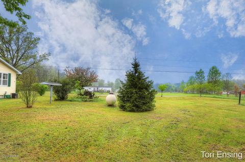 4017 E Pakes Rd, Stanton, MI 48888 photo 25