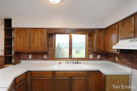4017 E Pakes Rd, Stanton, MI 48888 photo 9