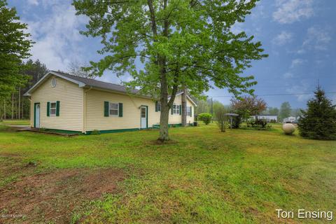 4017 E Pakes Rd, Stanton, MI 48888 photo 26