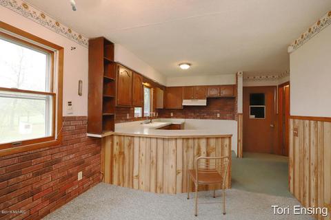 4017 E Pakes Rd, Stanton, MI 48888 photo 11