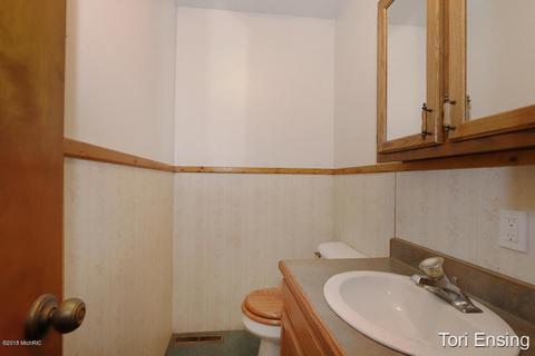 4017 E Pakes Rd, Stanton, MI 48888 photo 12