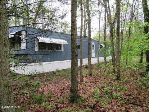 905 S Pine Ave, White Cloud, MI 49349 photo 3