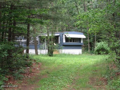 905 S Pine Ave, White Cloud, MI 49349 photo 18