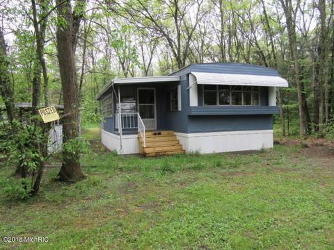 905 S Pine Ave, White Cloud, MI 49349 photo 2