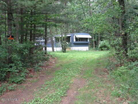 905 S Pine Ave, White Cloud, MI 49349 photo 1