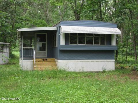 905 S Pine Ave, White Cloud, MI 49349 photo 19
