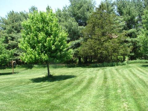 13220 Shutter Dr SE, Lowell, MI 49331 photo 22