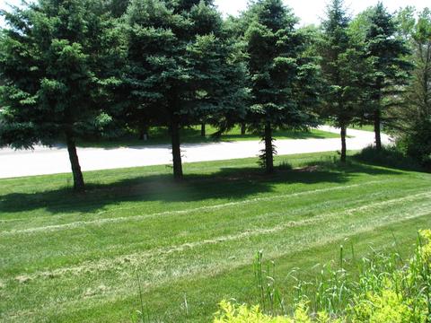 13220 Shutter Dr SE, Lowell, MI 49331 photo 5