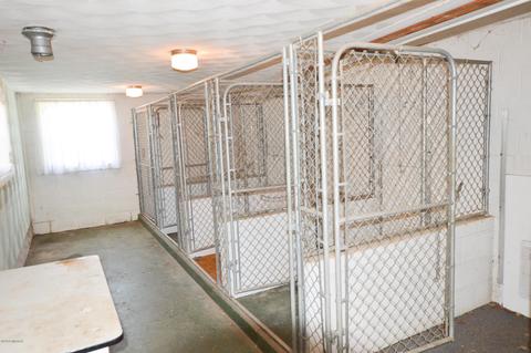 1601 E Tuttle Rd, Ionia, MI 48846 photo 4