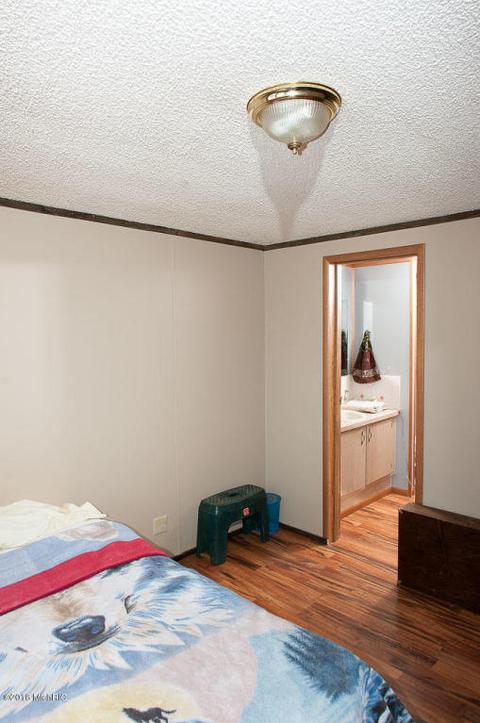 2738 N Baldwin Ave, White Cloud, MI 49349 photo 26