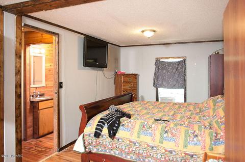 2738 N Baldwin Ave, White Cloud, MI 49349 photo 30
