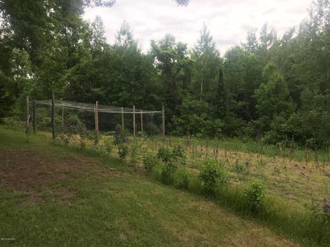 1575 E Tyler Rd, Hart, MI 49420 photo 8