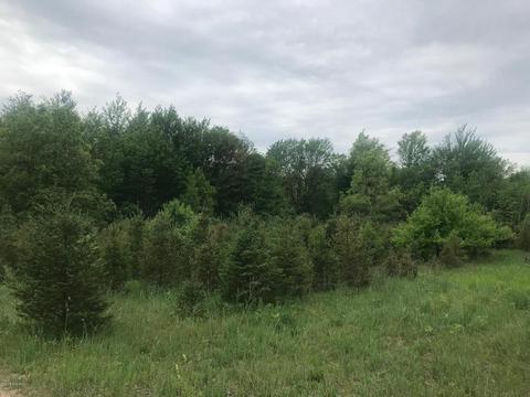1575 E Tyler Rd, Hart, MI 49420 photo 10