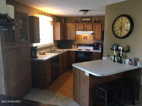 12835 Ontonagon Dr, Dewitt, MI 48820 photo 8