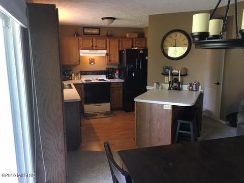 12835 Ontonagon Dr, Dewitt, MI 48820 photo 9