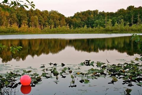 2298 E Glendora Rd, Buchanan, MI 49107 photo 17