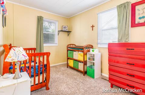 512 Foreman St SE, Lowell, MI 49331 photo 12