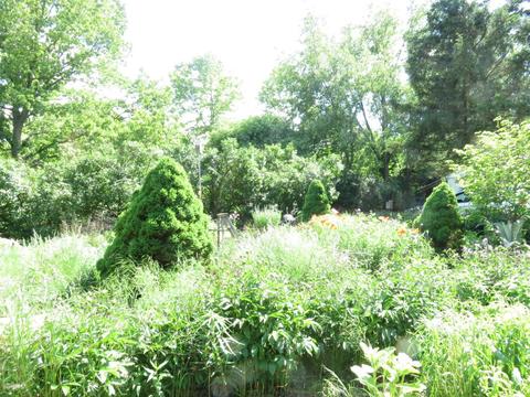 23749 Evan St, Cassopolis, MI 49031 photo 39