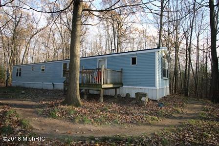 8954 Ferris Ave, Bitely, MI 49309 photo 1
