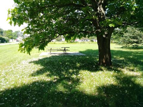 486 E Post Rd, White Cloud, MI 49349 photo 4