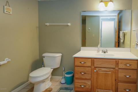 52038 Johnson Rd, Three Rivers, MI 49093 photo 22