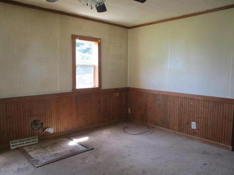 233 State St, Bronson, MI 49028 photo 2