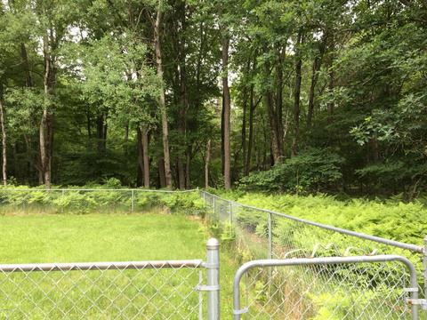 5207 N Evergreen Dr, White Cloud, MI 49349 photo 11