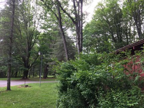 5207 N Evergreen Dr, White Cloud, MI 49349 photo 19