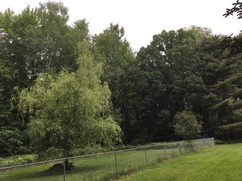 5207 N Evergreen Dr, White Cloud, MI 49349 photo 14