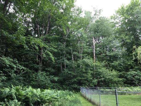 5207 N Evergreen Dr, White Cloud, MI 49349 photo 15