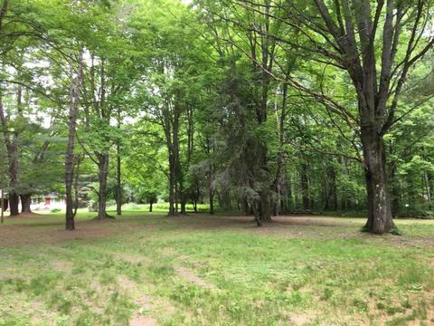 5207 N Evergreen Dr, White Cloud, MI 49349 photo 3