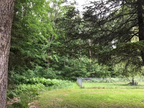 5207 N Evergreen Dr, White Cloud, MI 49349 photo 46