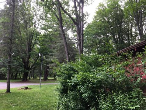 5207 N Evergreen Dr, White Cloud, MI 49349 photo 44