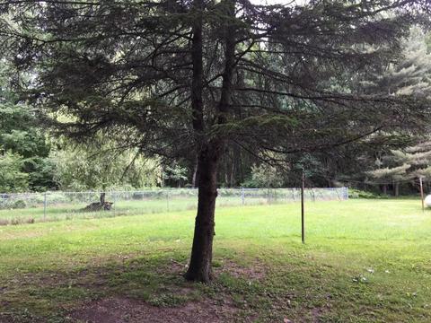 5207 N Evergreen Dr, White Cloud, MI 49349 photo 43