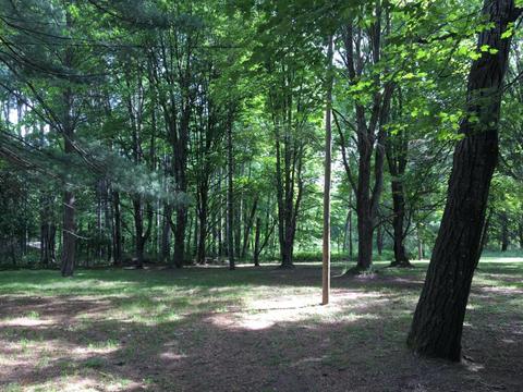 5207 N Evergreen Dr, White Cloud, MI 49349 photo 5