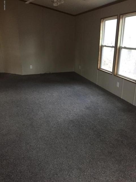 355 S Lester St, White Cloud, MI 49349 photo 24