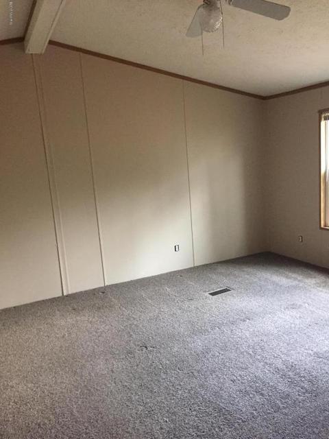 355 S Lester St, White Cloud, MI 49349 photo 17