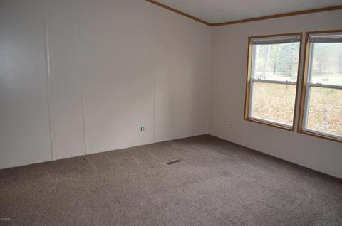 355 S Lester St, White Cloud, MI 49349 photo 13