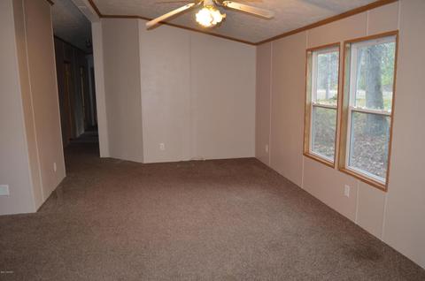 355 S Lester St, White Cloud, MI 49349 photo 7