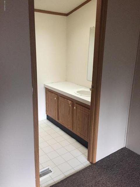 355 S Lester St, White Cloud, MI 49349 photo 18