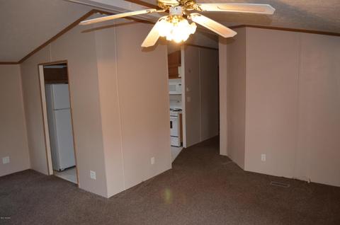 355 S Lester St, White Cloud, MI 49349 photo 4