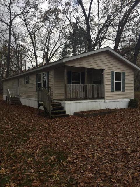 355 S Lester St, White Cloud, MI 49349 photo 1