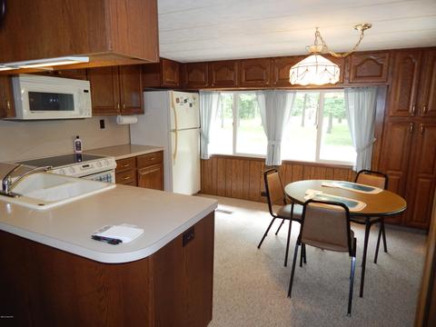 3315 E 96th St, Newaygo, MI 49337 photo 3