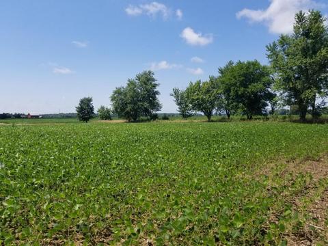 2140 Second St, Galien, MI 49113 photo 18